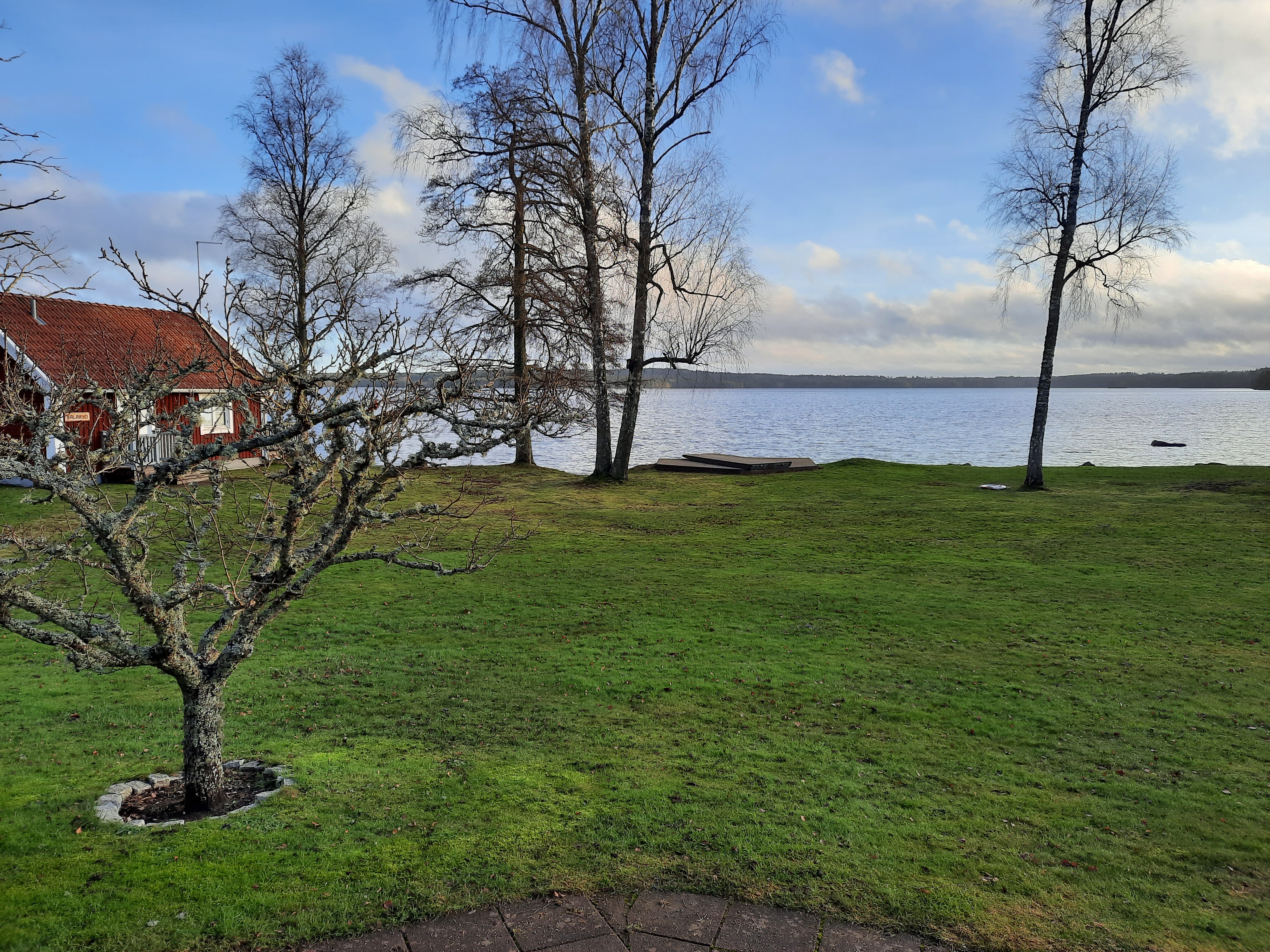 Naturbild med träd och gräs framför Assjön i Aneby kommun.